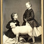 Lamm